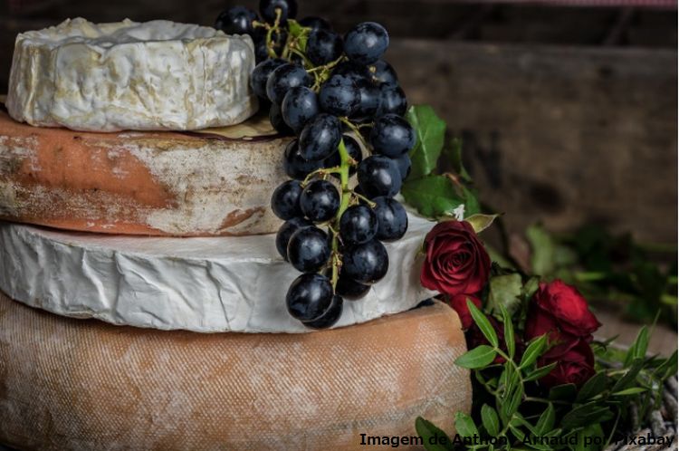 Queijo com alto teor de proteína e baixo teor de carboidratos